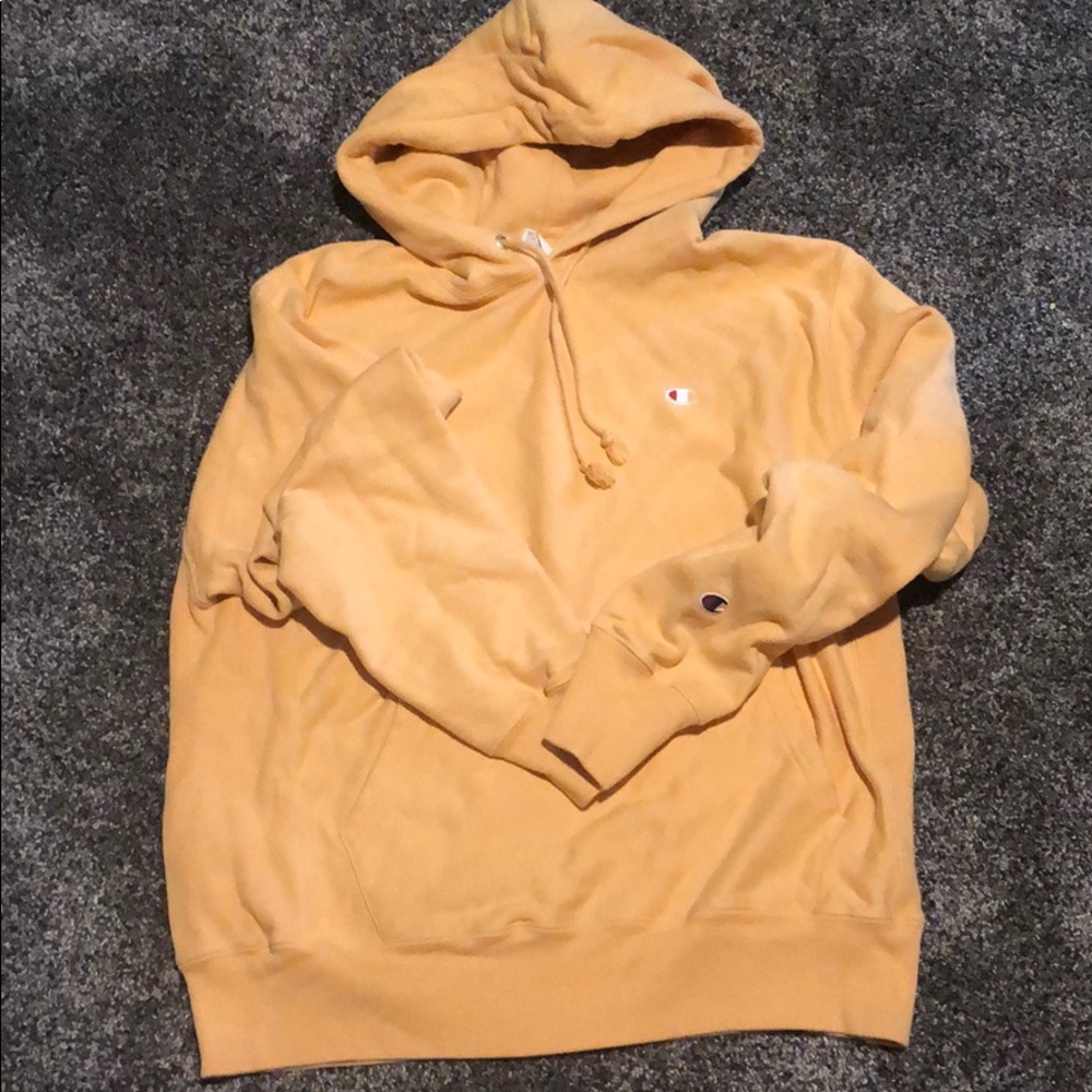 Champion sweatshirt from UO..NWOT